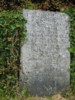 William Jewell