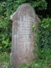 Lewis Burrow