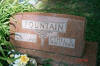 Roy and Ethel Fountain